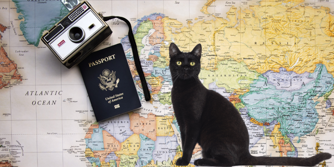 how to say cat in different languages